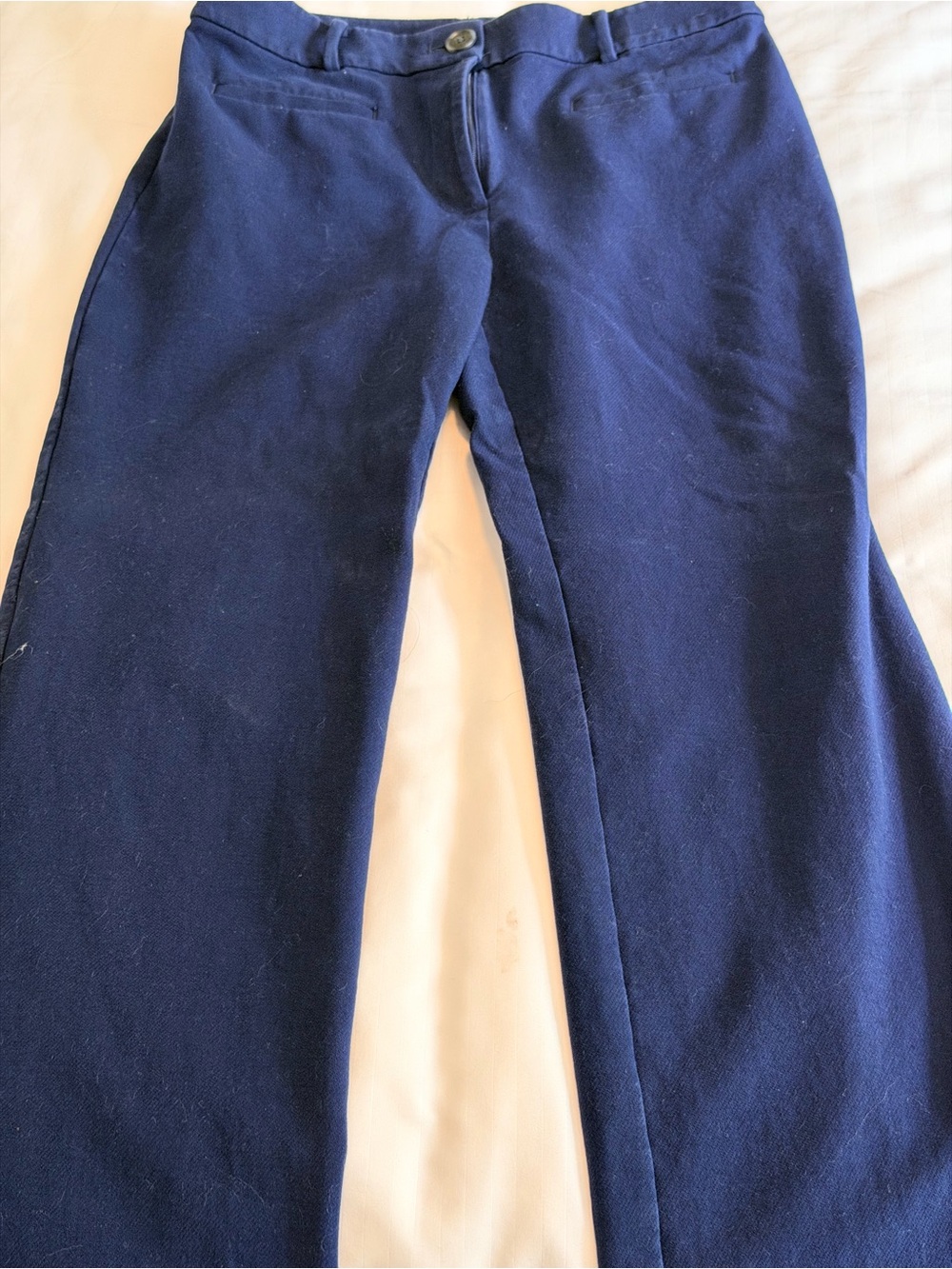 Navy Straight-Leg Pants- Loft